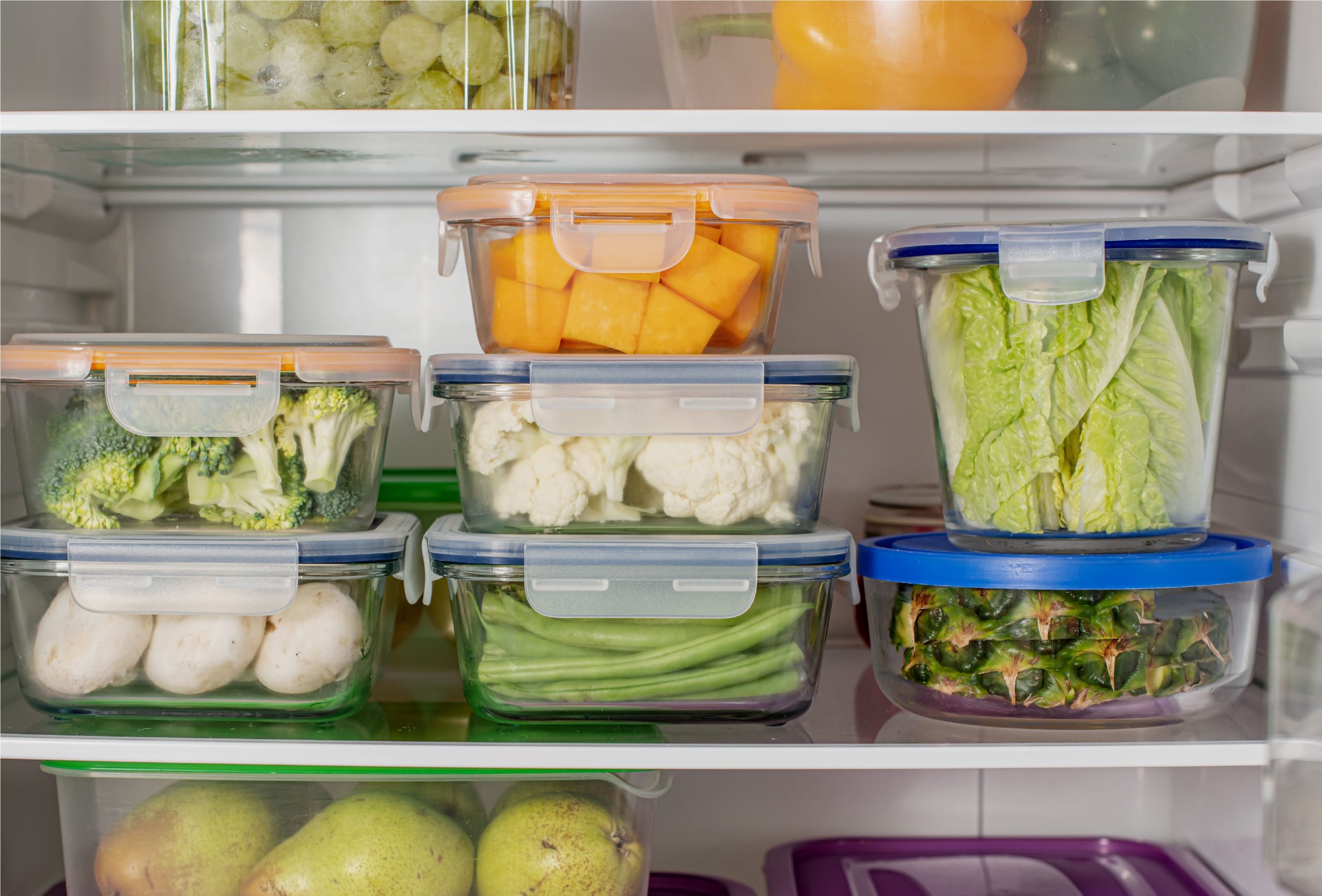 Stocked Fridge