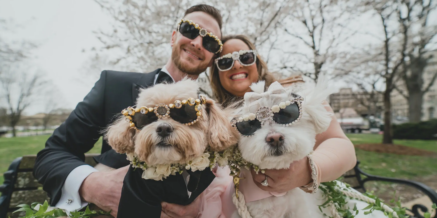 Including Your Dogs In The Wedding Can Be Quite Enjoyable For Everyone