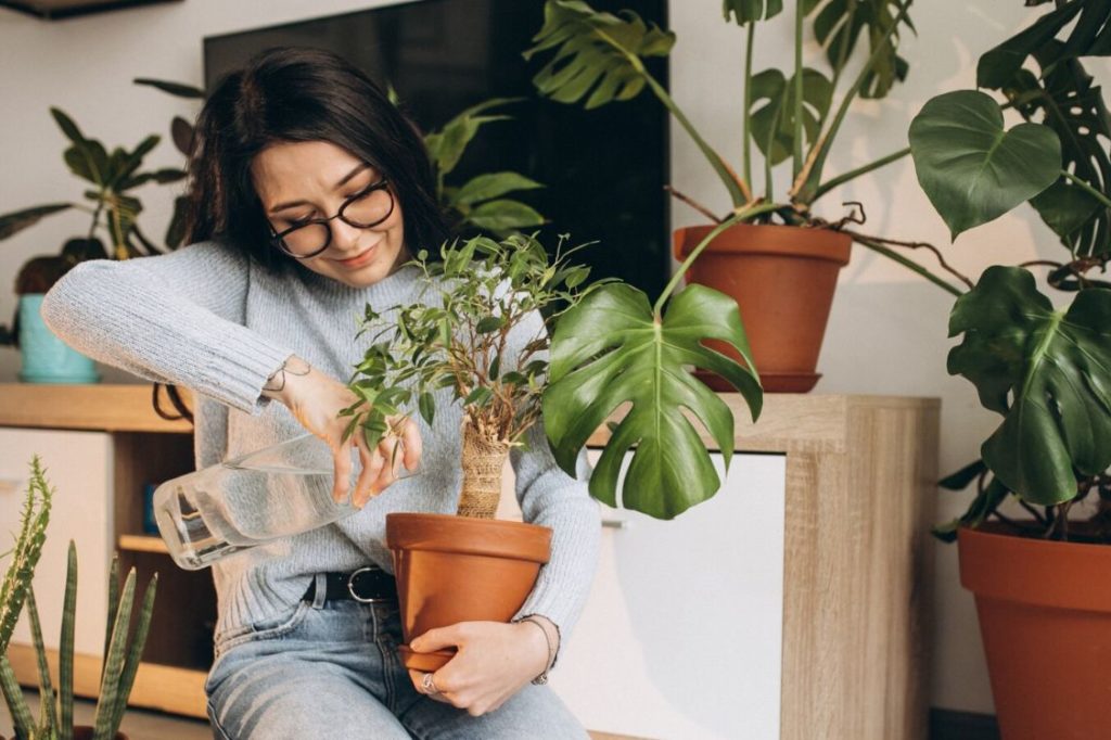 Indoor Plant Hacks You Need to Start Doing Right Now