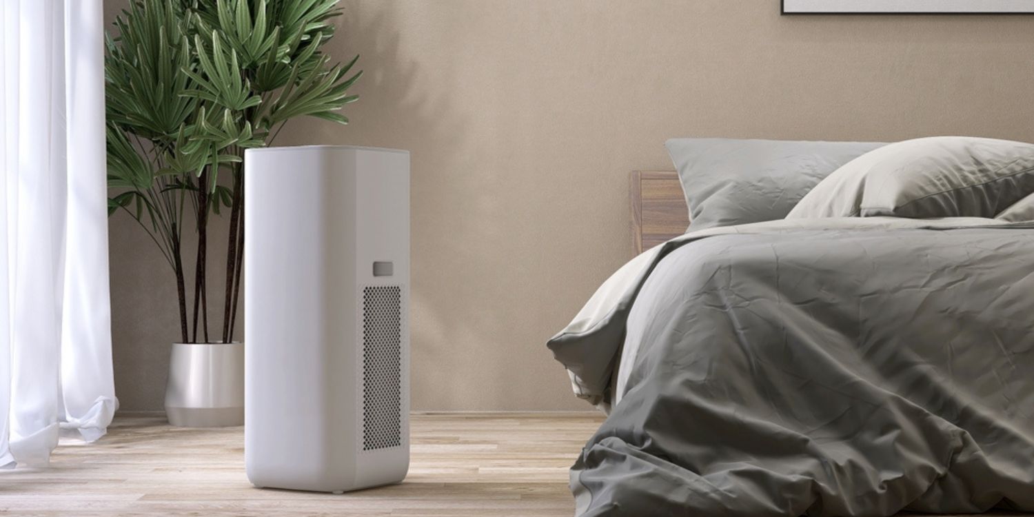 5 Reasons to Buy a Dehumidifier in Summer, Not Winter